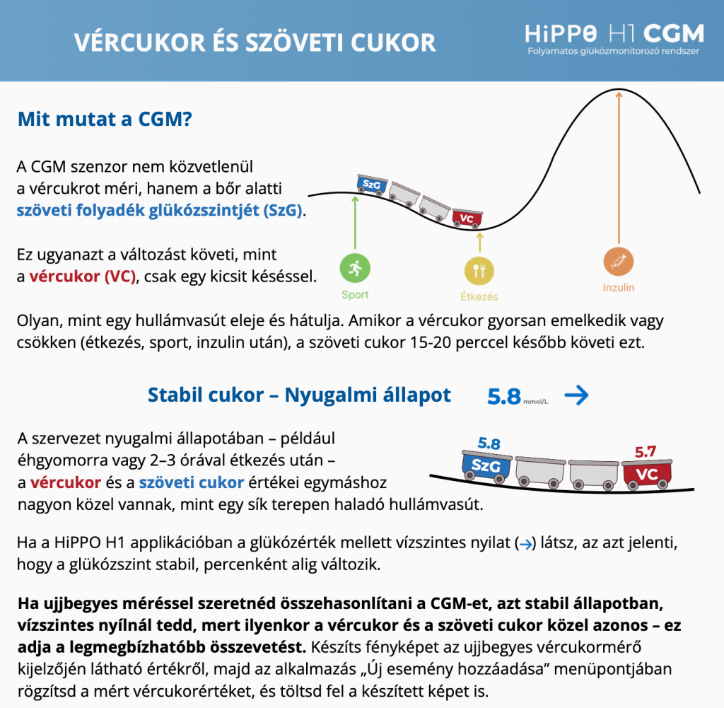 CGM és a vércukor kép